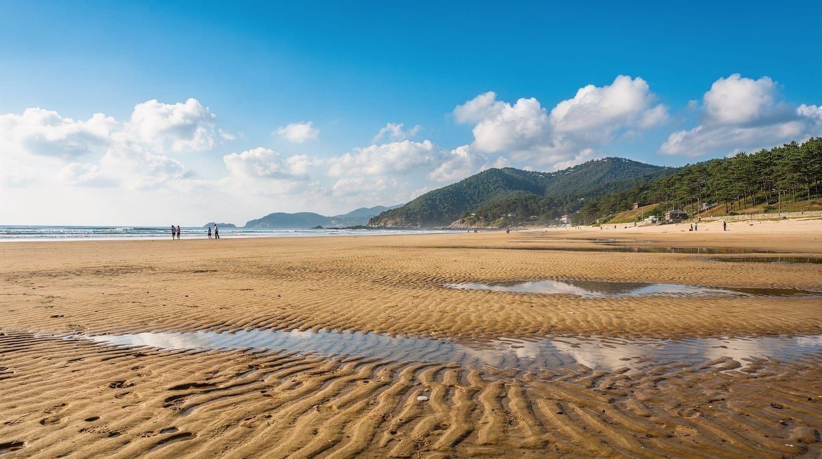 Île de Muuido — plages et randonnée près de l'aéroport d'Incheon