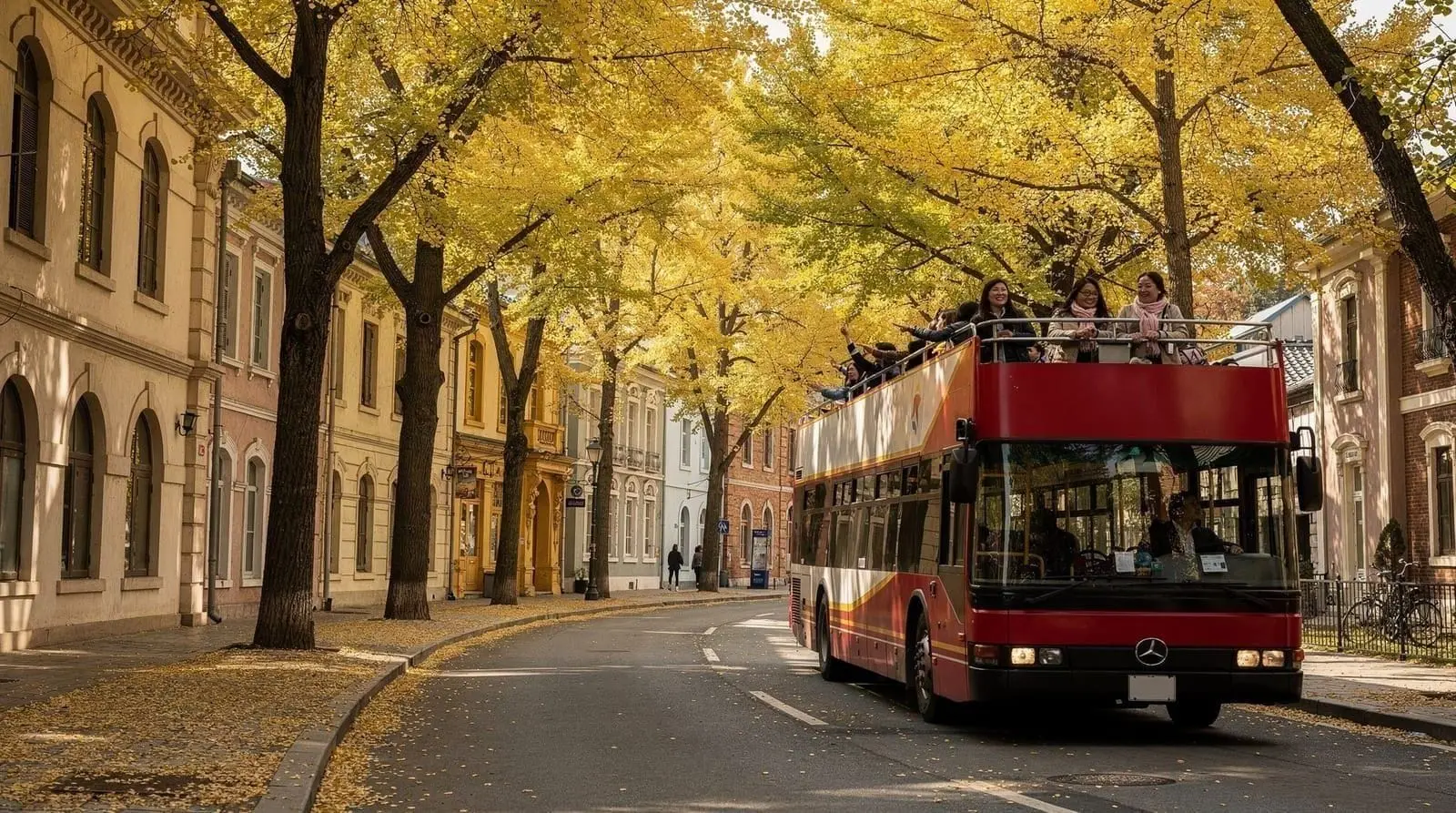City Tours