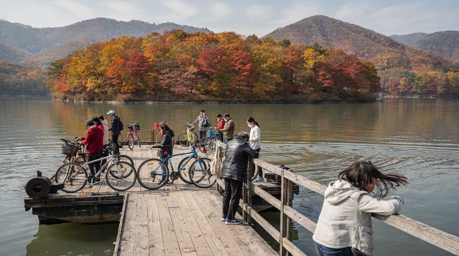 Excursion journée à l'île de Nami depuis Incheon et Séoul : le guide complet